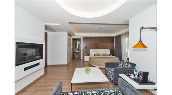 تور استانبول (هتل دورا)